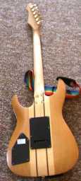 Hohner HS-90 woodgrain rear.jpg